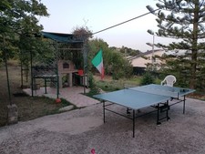tavolo da ping pong usato