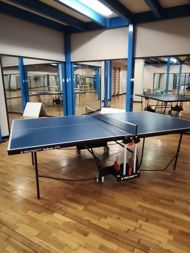 Tecno pro tavolo ping - pro,