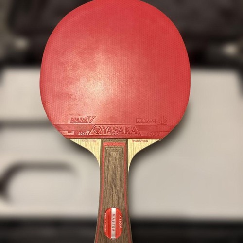 Racchetta ping pong - racchetta, stiga
